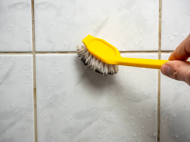 Best Post-Flood Mold Remediation in Taft Southwest, TX
