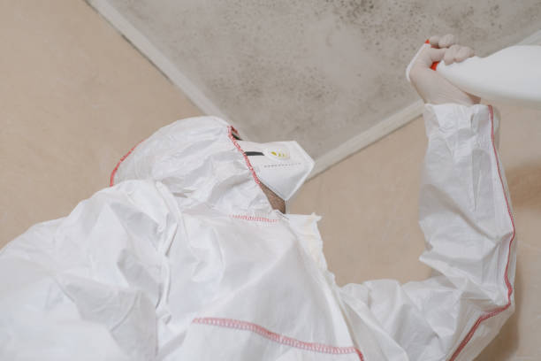 Best Industrial Mold Remediation in Taft Southwest, TX
